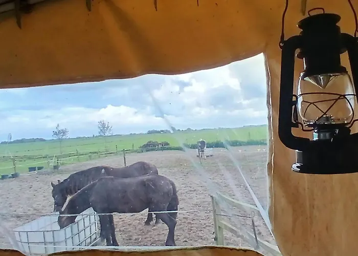 De Huifkar, Trekkershut Bij Sneek