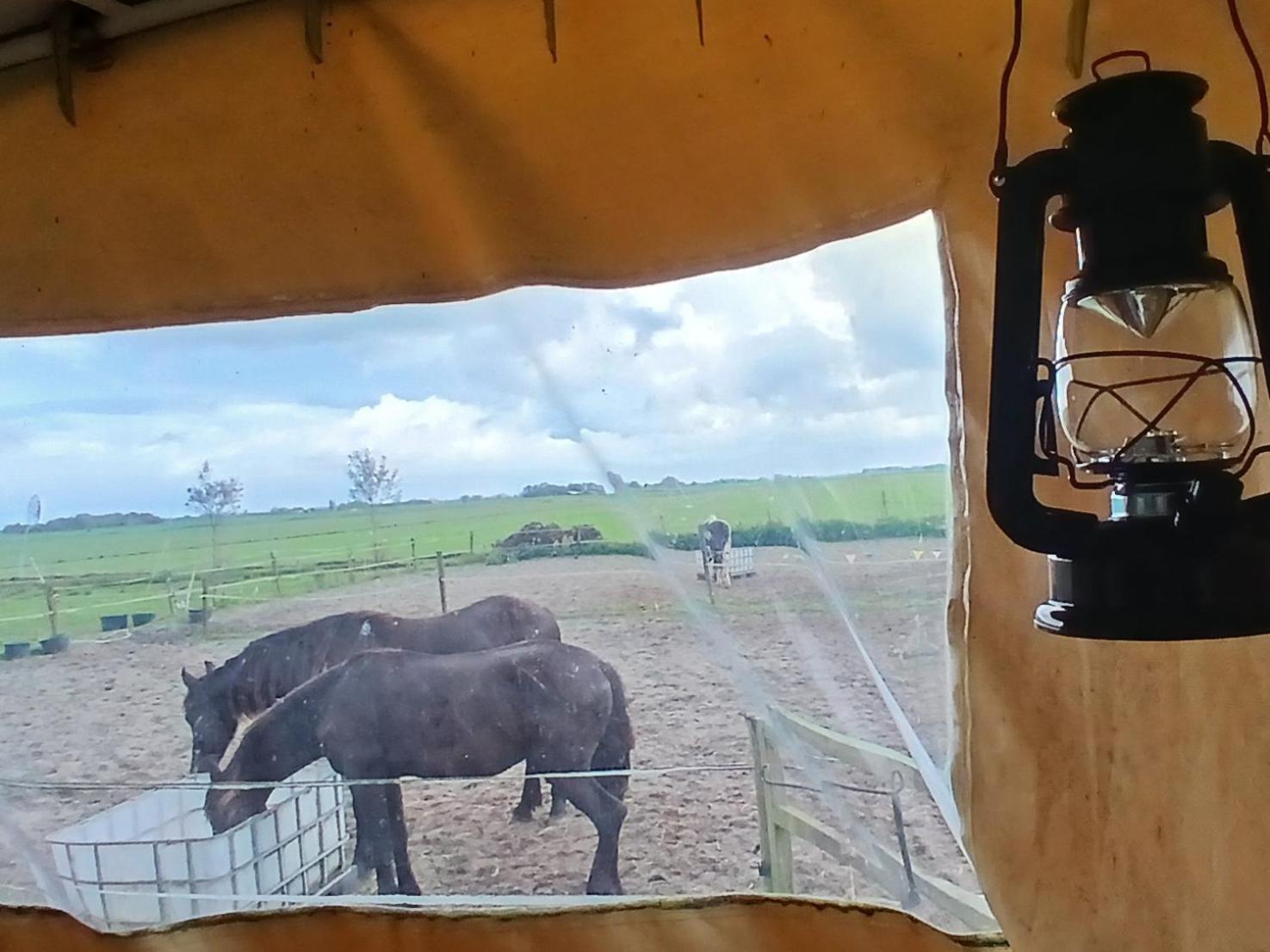 Luxury tent De Huifkar, Trekkershut Bij Sneek *