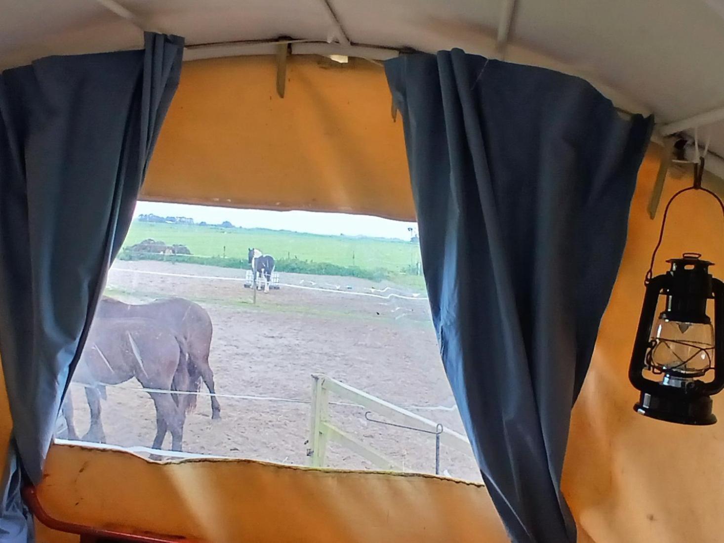De Huifkar, Trekkershut Bij Sneek Luxury tent