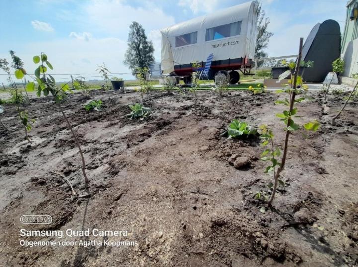 Luxury tent De Huifkar, Trekkershut Bij Sneek